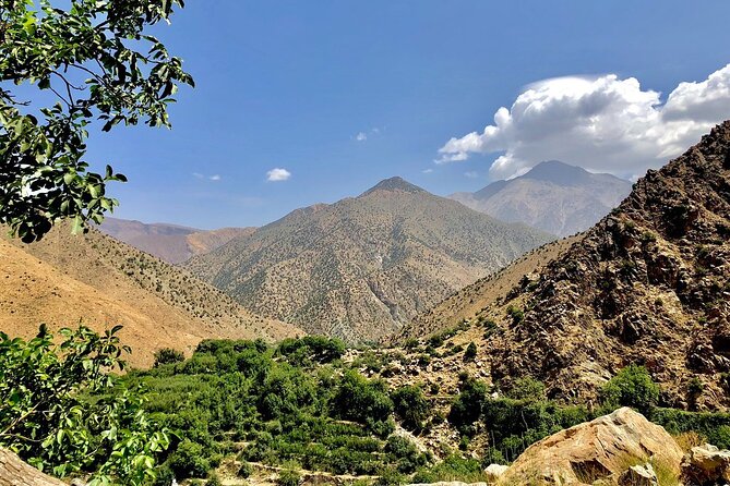 Half Day Tour From Marrakech to the Atlas Mountains & Ourika Valley - Ourika Valley Time: Berber Villages, Rivers, and the Mint-Tea Break