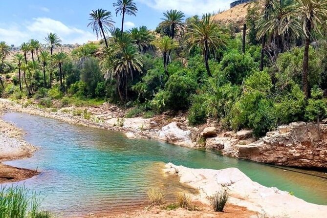 Hidden Atlas Mountains Valley - The Guide Factor: Rashid, Berber Culture, and Practical Care