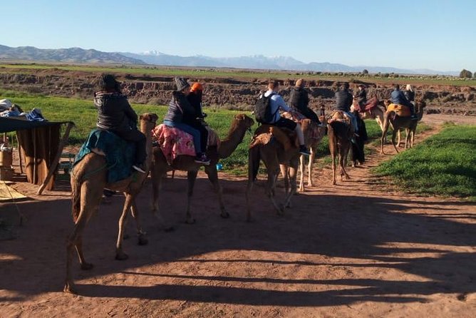 High Atlas Mountains Day Trip and Camel Trek - Guided Walking Near Imlil: Waterfalls, Villages, and View Stops