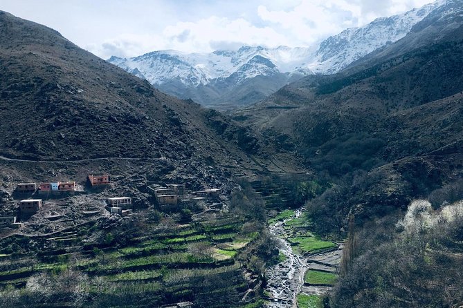 High Atlas Mountains Day Trip and Camel Trek - Transport Comfort: Air-Conditioned Vehicle, Bottled Water, and Timing