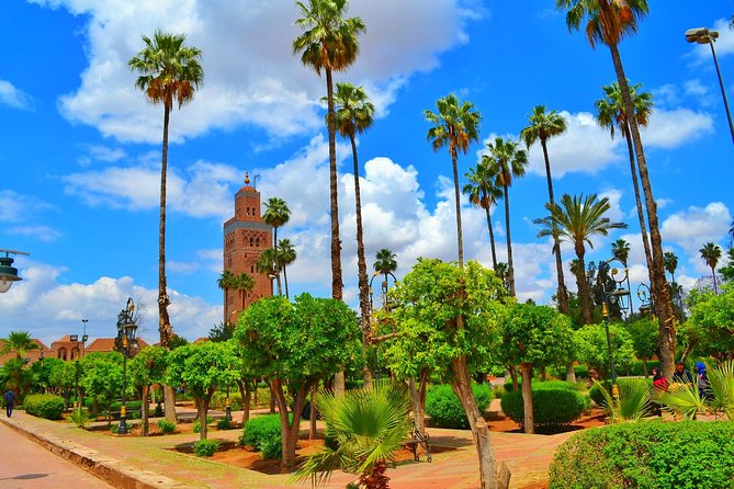 Highlights of Marrakech: Private Half-Day City Tour - Kasbah area and Farnatchi, where hammams and tanjia connect