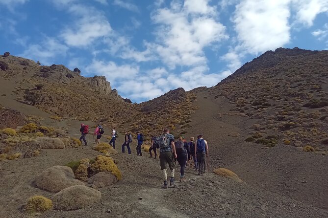 Hiking and summiting the Atlas Mountains day trip from Marrakech - Key highlights you’ll feel on the trail
