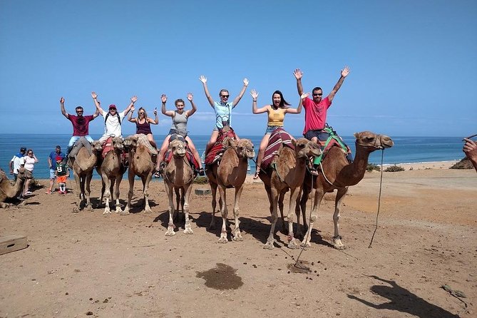 Historical and Cultural Tour of Tangier - Entering the Medina of Tangier: Portuguese Walls, Real-Life Souks, and Street-Level History