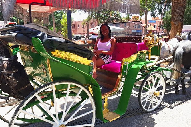 Horse and Carriage Ride with Majorelle Garden - Marrakech from the carriage seat: the views and the vibe