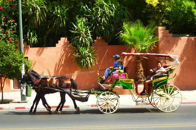 Horse and Carriage Ride with Majorelle Garden - Agdal and Menara stops: worth your time or a quick pass?