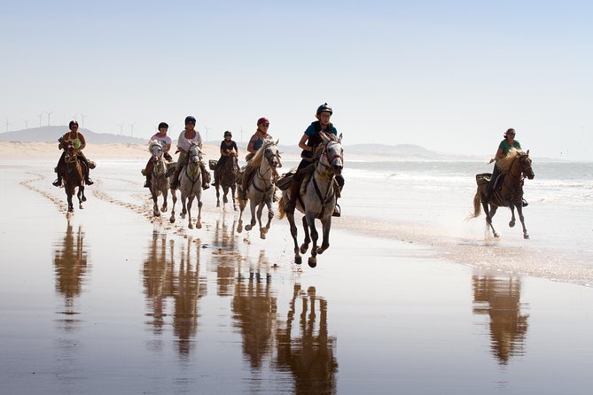 Horse Ride on the Beach in Essaouira - Key highlights you will actually care about