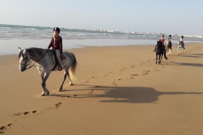 Horse Ride on the Beach in Essaouira - Forest tracks with real animals, including camels and donkeys