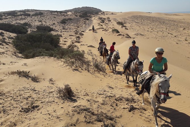 Horse Ride on the Beach in Essaouira - Price and value: $40.71 for 2 hours with pickup and helmet