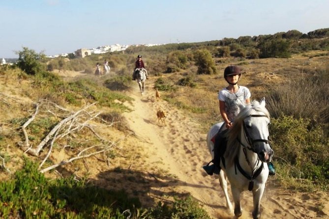Horse Ride on the Beach in Essaouira - From your hotel to the stables, and why the 3 km drive matters