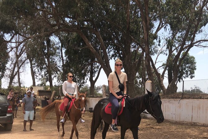 Horse Riding Agadir - Why horse riding near Agadir feels different