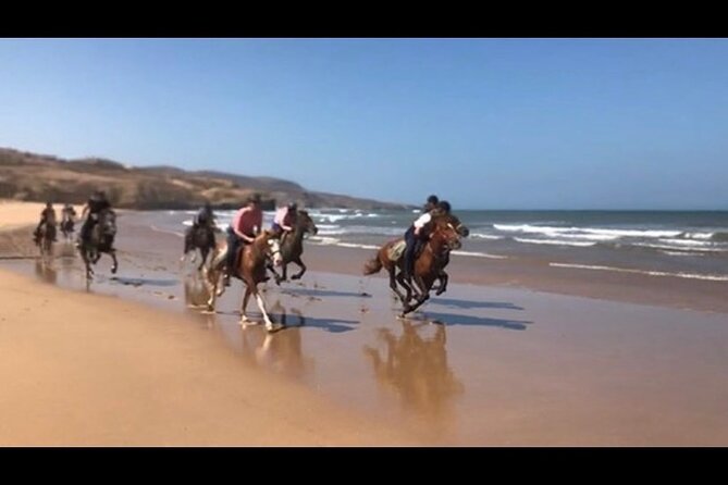 Horse Riding Agadir - From river edges to sandy stretches: the “beach” part of the experience