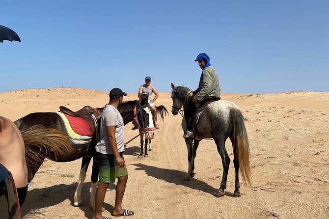 Horse Riding Agadir - Beginner to experienced: how the ride adapts