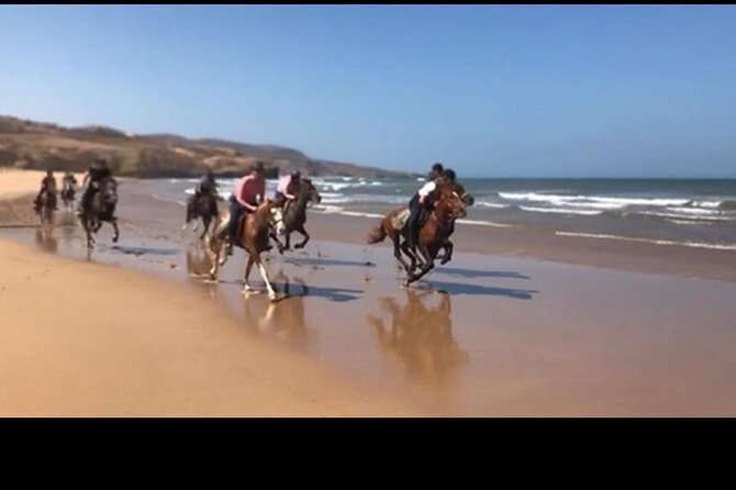 Horse Riding Agadir - Safety and comfort: what to watch for