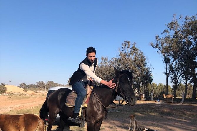 Horse Riding Agadir - Riding through eucalyptus forest: where the calm begins