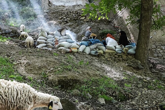 Imlil Waterfalls Day Tour from Marrakech – Nature & Local Culture - High Atlas waterfalls, without the long multi-day hike