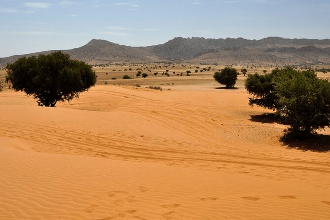 Jeep 4x4 Safari Atlantic Ocean & Desert Dunes with Berber Lunch - What You’re Really Getting from This Agadir 4x4 Day