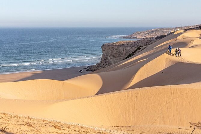 Jeep 4x4 Safari Atlantic Ocean & Desert Dunes with Berber Lunch - Souss-Massa National Park Stop: Birdwatching and Coastal Nature Time
