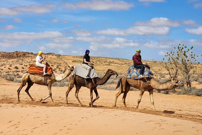 Jeep 4x4 Safari Desert Dunes & Atlantic Ocean with Berber Lunch - Stop 2: Souss-Massa National Park and a bird-watching pause