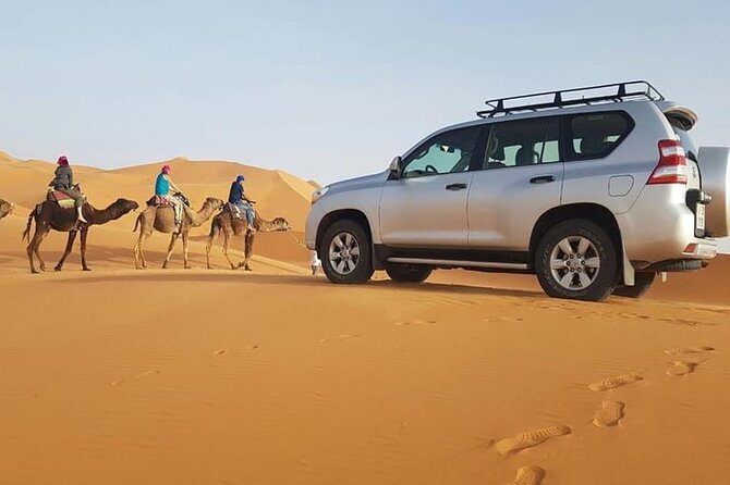 Jeep safari 4x4 mini sahara desert with Berber Lunch - Key highlights you should care about