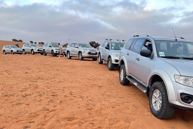 Jeep safari 4x4 mini sahara desert with Berber Lunch - Oued Massa river birds, then Youssef Ben Tachfin Dam panoramas