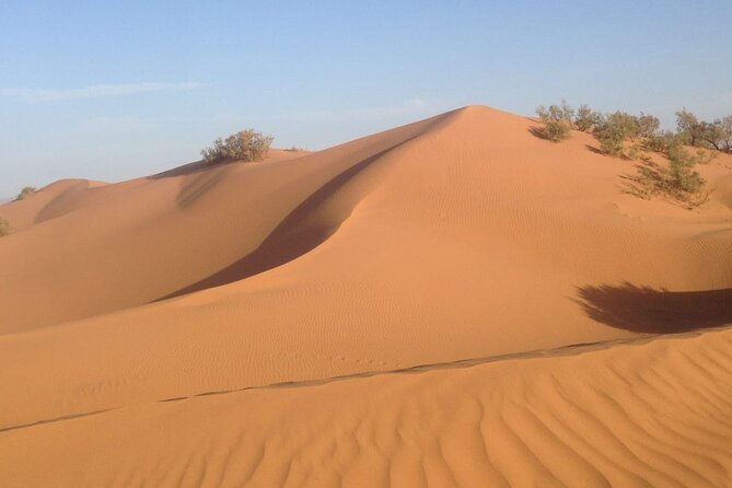 Jeep Tour to Mini Sahara With Lunch Small group - Key things to know before you ride