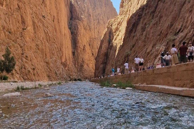 LET'S GO Tour MARRAKECH to DESERT TO FES 3 Days - Desert Bivouac Night: Dinner Under the Stars