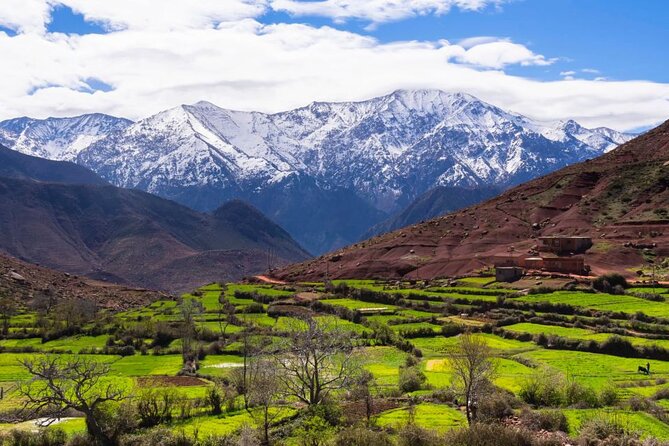 Lunch in the High Atlas: Ourika Valley Waterfalls & 3 Valleys - Ourika Valley and Imlil-area waterfalls: the walking portion that adds heart