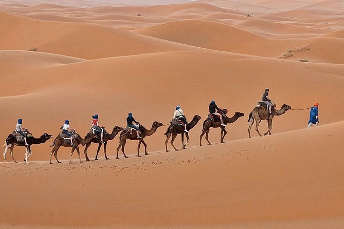 Luxury 2-Days Desert Trip from Fes to.:( fes or marakech) - The 8:00am Fez start, and why the drive is part of the deal