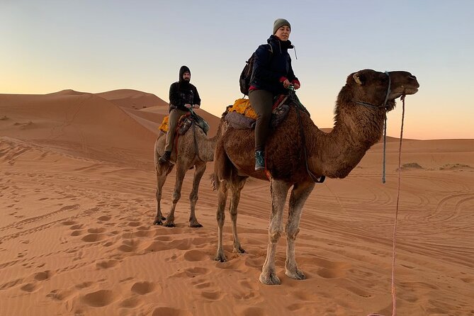 Luxury 2-Days Desert Trip from Fes to.:( fes or marakech) - Berber luxury camp: private tent comfort, plus the real cold factor