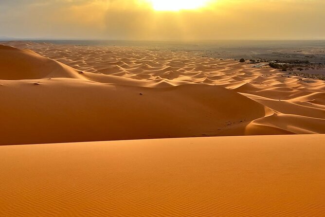 luxury 3 Days 2 Nights Desert Tour from Fez to Marrakesh - Ifrane to Azrou Cedar Forest, Monkey Spotting in the Middle Atlas