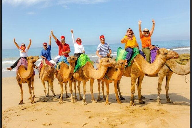 luxury 4 Hour Private Tour of Tangier - Key highlights to look for