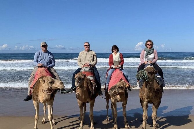 luxury 4 Hour Private Tour of Tangier - Achakkar Beach camel ride: the included “do it” moment