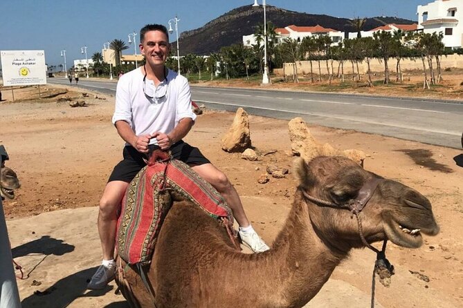 luxury 4 Hour Private Tour of Tangier - How the pickup and private setup changes the day