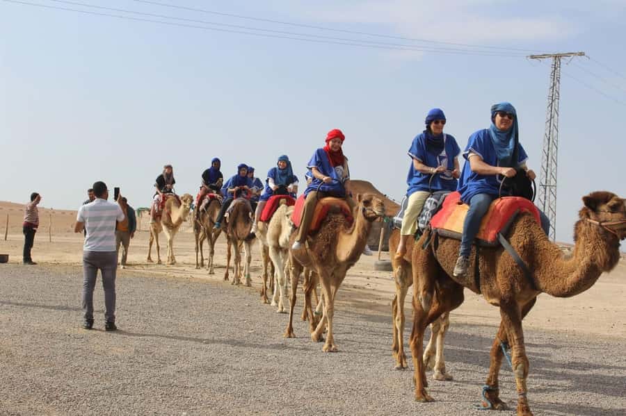 Luxury Agafay Desert : Quad , Camel Ride, Pool & Dinner Show - Key Things That Make This Day Work