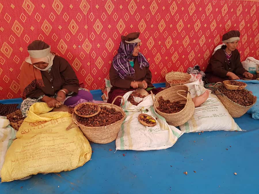 Luxury day trip to Essaouira from Marrakech - Key moments that make this day trip work