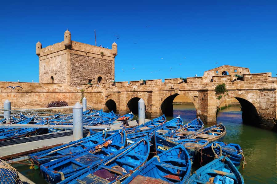 Luxury day trip to Essaouira from Marrakech - Argan oil culture stop, goats, and a women’s cooperative you can understand fast
