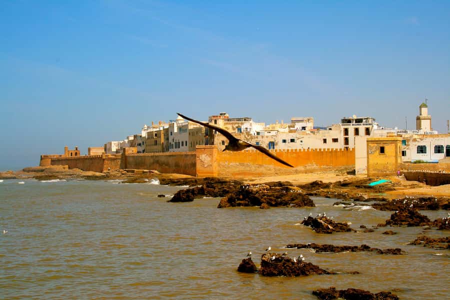 Luxury day trip to Essaouira from Marrakech - Four hours to roam Essaouira, and how to make it count