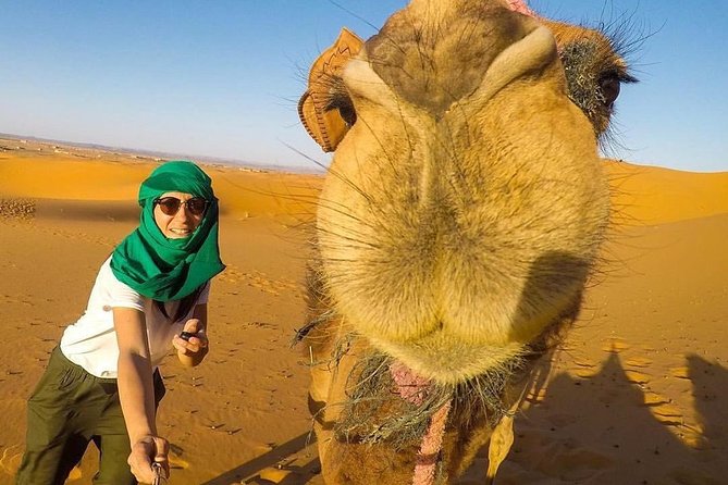 LUXURY Desert Camp: 3 Days Marrakech to Merzouga and Camel Trek - From Marrakech to the High Atlas and Ait Ben Haddou