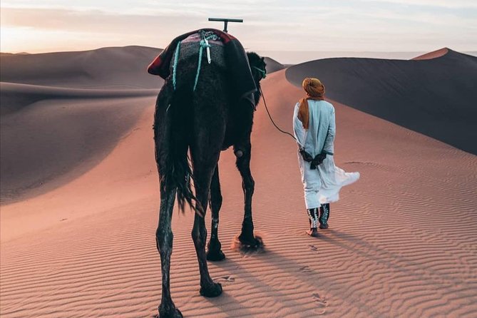 LUXURY Desert Camp: 3 Days Marrakech to Merzouga and Camel Trek - Guides, Group Size, and the Human Touch