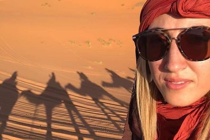 Luxury Overnight From Fez To Merzouga - Errachidia and the Ziz Valley palms, a color contrast moment