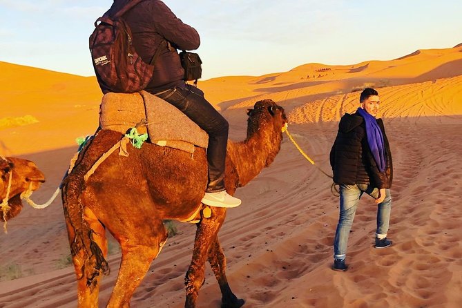 Luxury Overnight Sahara Desert trip fez Back to Fez or Marrakech - Getting Back to Fez (Or Marrakech): Road Time is the Real Personality of This Tour