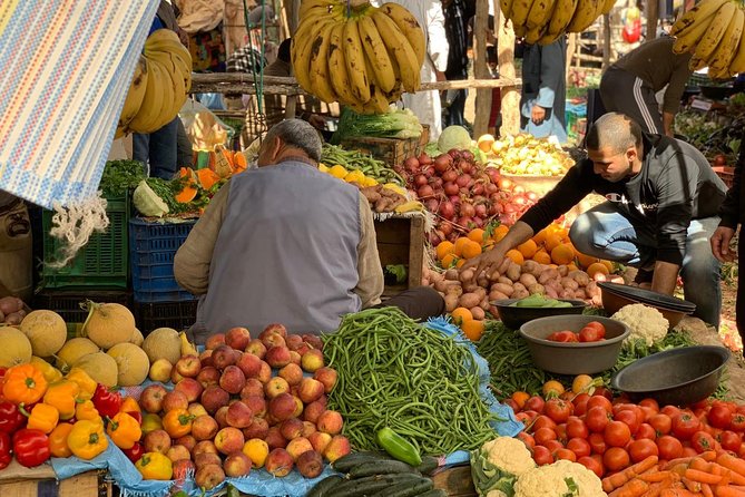 Luxury private day trip - Atlas Mountains, Agafay Desert & camels - Key highlights you should care about
