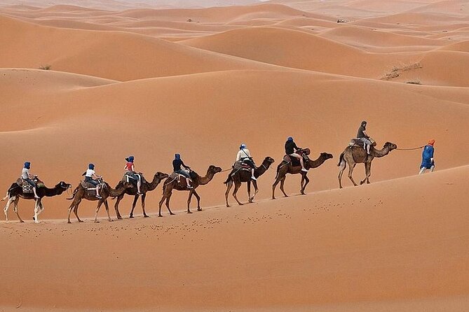 Luxury Sahara Desert From Fez back to fez or marrakech overnight - Price and “Luxury” Comfort: What You Get for $125.62