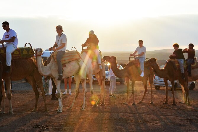 Magical Dinner Experience & Sunset Camel Ride in Marrakech Desert - Groups, crowds, and camel comfort: the trade-offs you should know