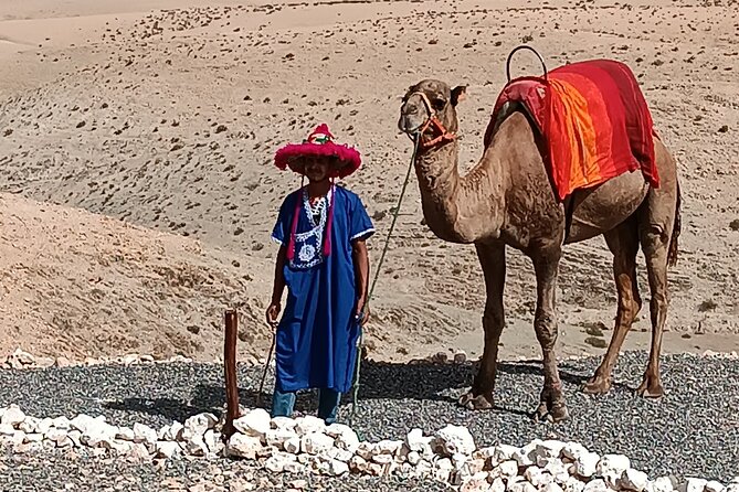 Magical dinner show and camel ride & Quad Bike in Agafay desert - Price and value: what $76.55 really includes