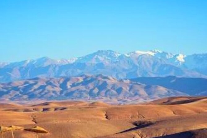 Magical Dinner show and Quad bike In Agafay Desert Marrakech - Price and Value, Is $12.78 a Good Deal