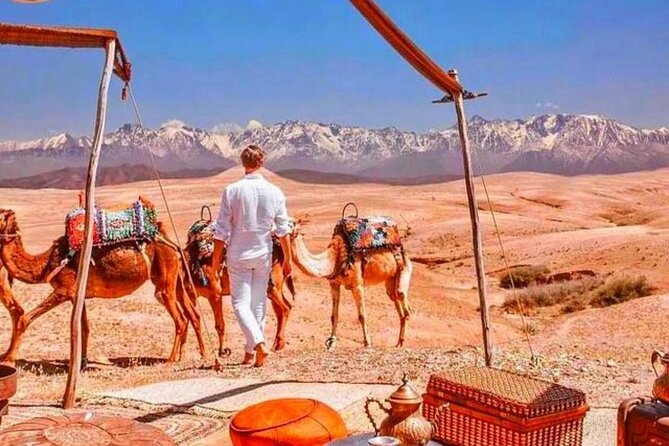 Magical Dinner show and Quad bike In Agafay Desert Marrakech - Quad Bike Time, How the Desert Ride Fits the Night