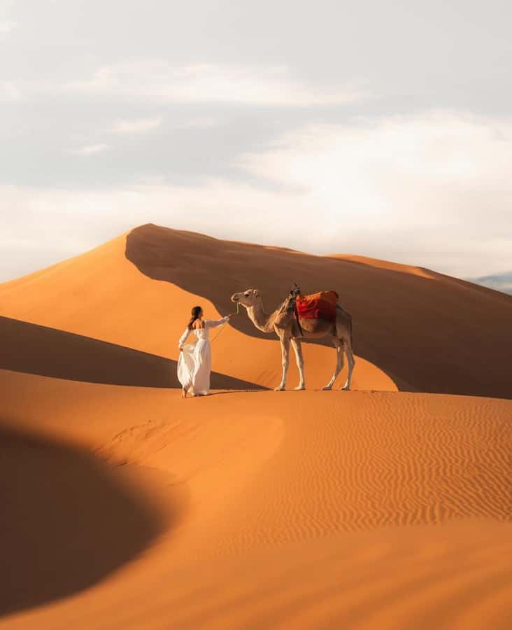 Majestic Desert: 3-Day Luxury Journey from Marrakech to Fes - Quick Hits