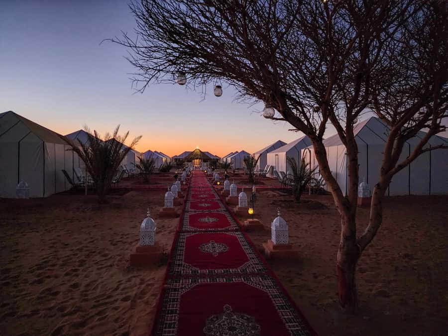 Majestic Desert: 3-Day Luxury Journey from Marrakech to Fes - Why the Local Guides and Included Activities Matter (Not Just the Places)