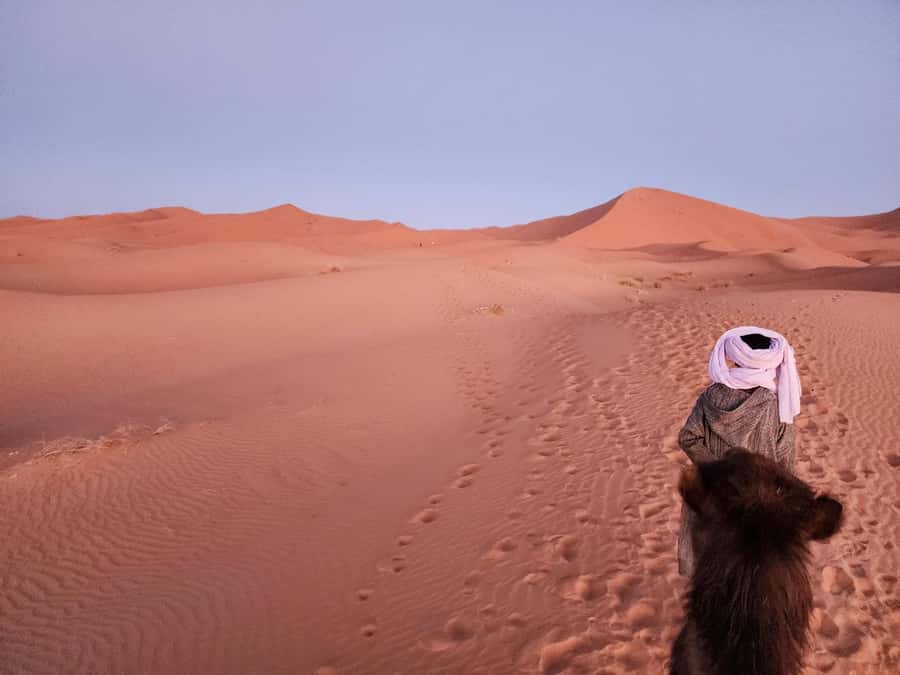 Majestic Desert: 3-Day Luxury Journey from Marrakech to Fes - Dades Gorge Stop and Todra Gorge Walk: Where the Walls Feel Close